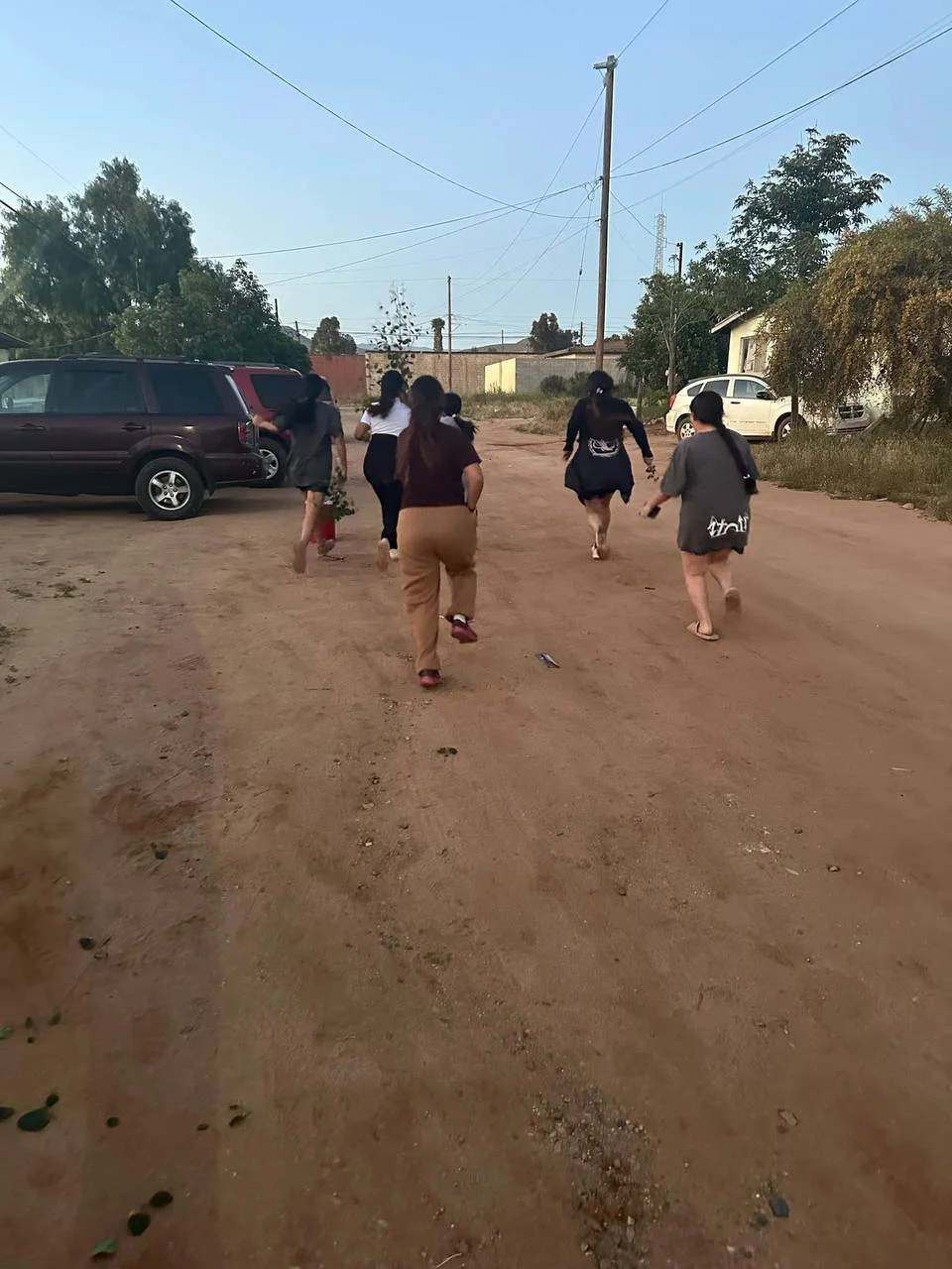 photo_2025-01-02 20.30.20.jpeg