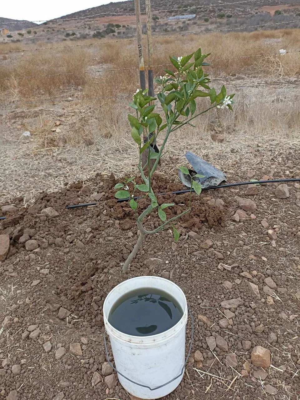 photo_2025-03-12 10.59.54.jpeg