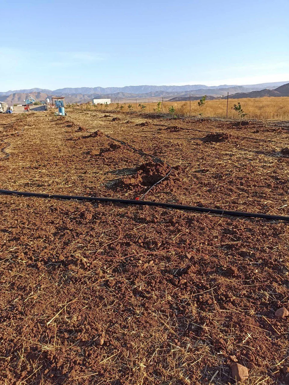 photo_2025-03-12 10.59.56.jpeg