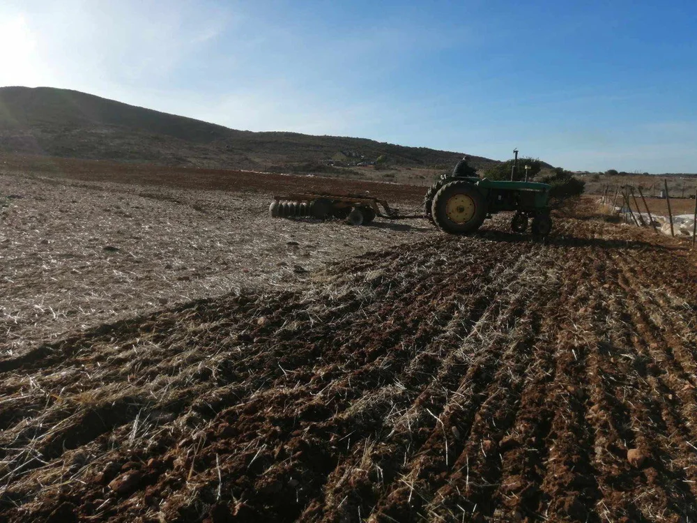 photo_2025-03-12 11.00.00.jpeg