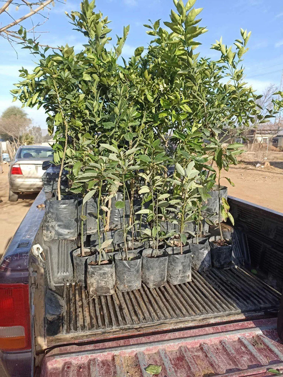 photo_2025-03-12 11.00.01.jpeg