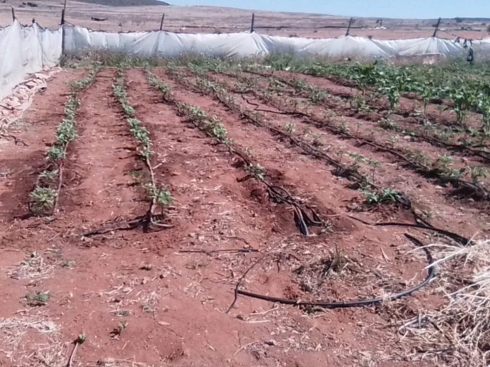 photo_2025-06-12 14.12.59.jpeg