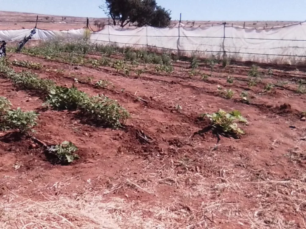 photo_2025-06-12 14.13.00.jpeg