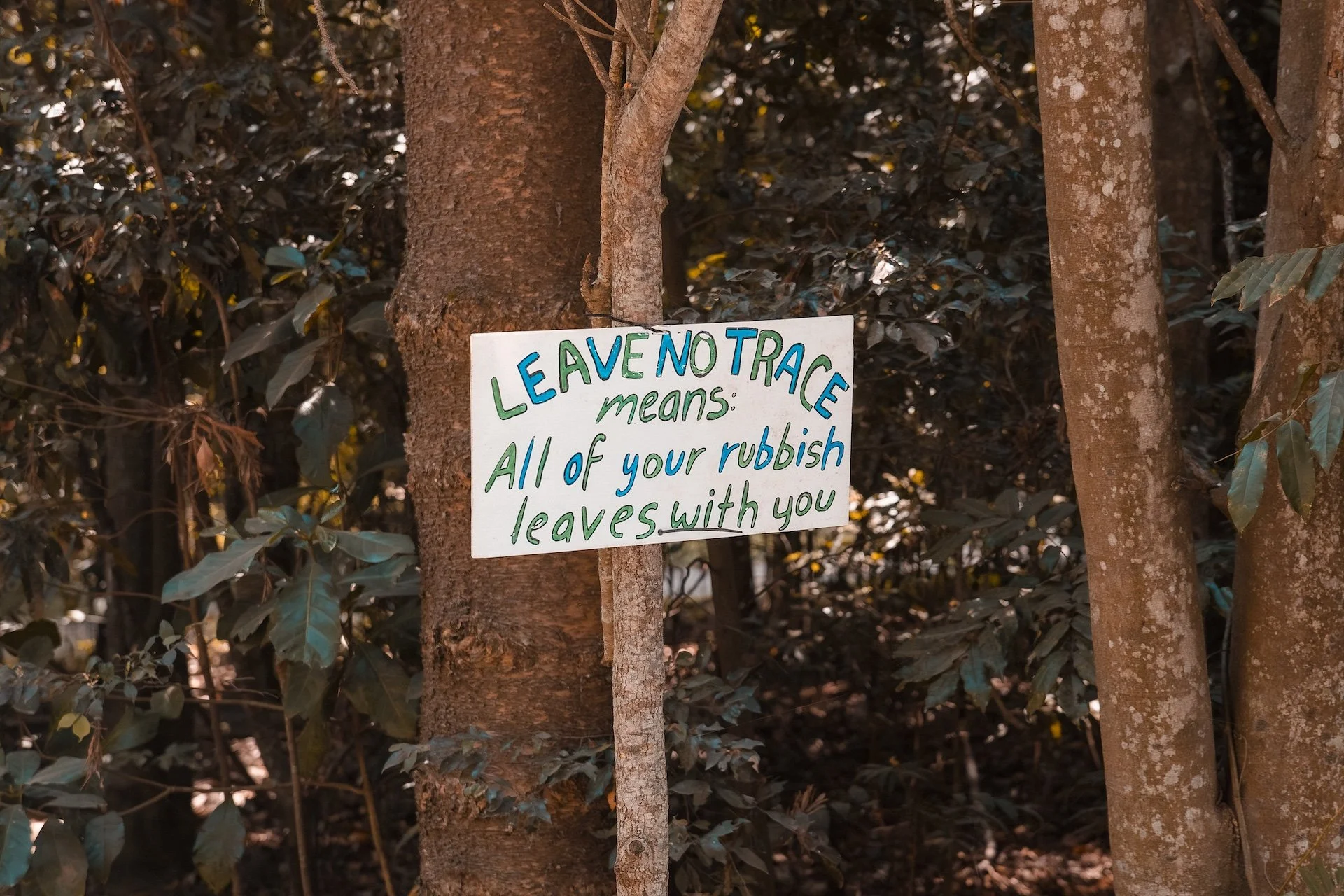 Earth Frequency Festival 2026 camping Guide: How to leave no trace at Woodfordia