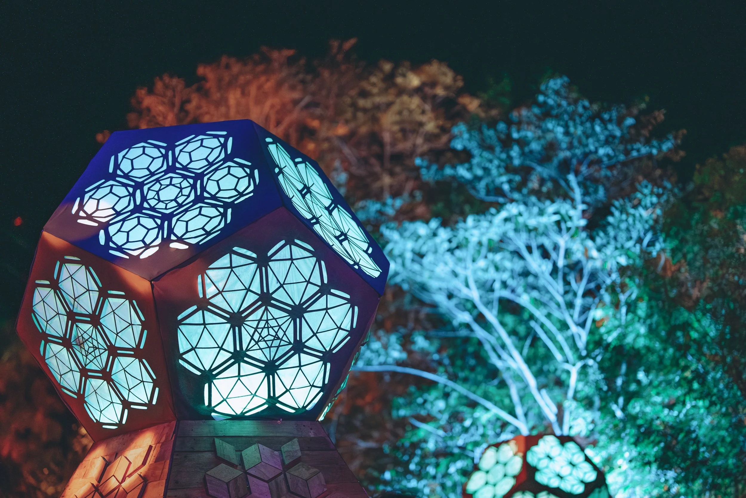 Colorful illuminated lanterns outdoors at night with a background of trees lit in different colors.