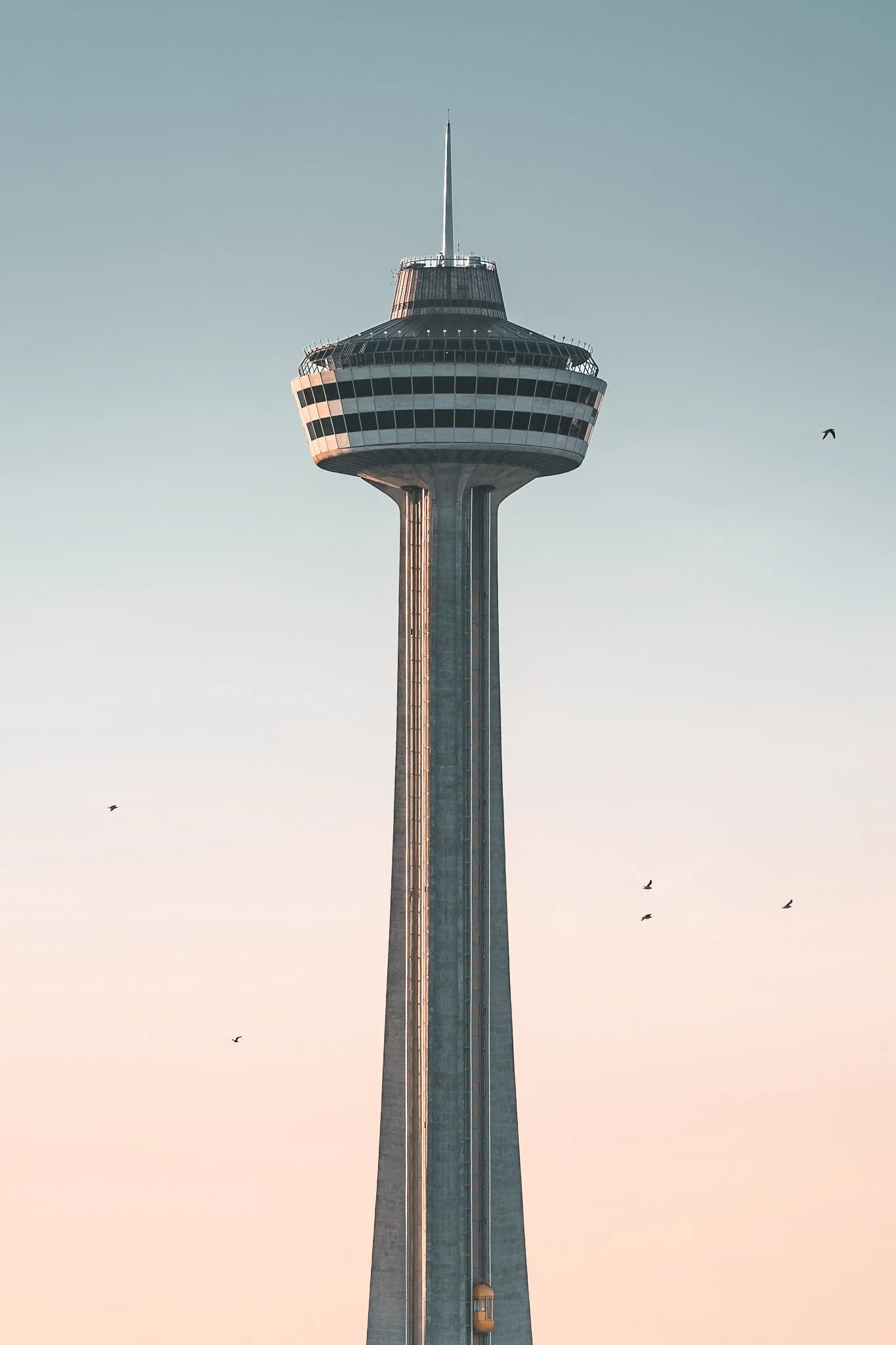 ACA00010.jpg