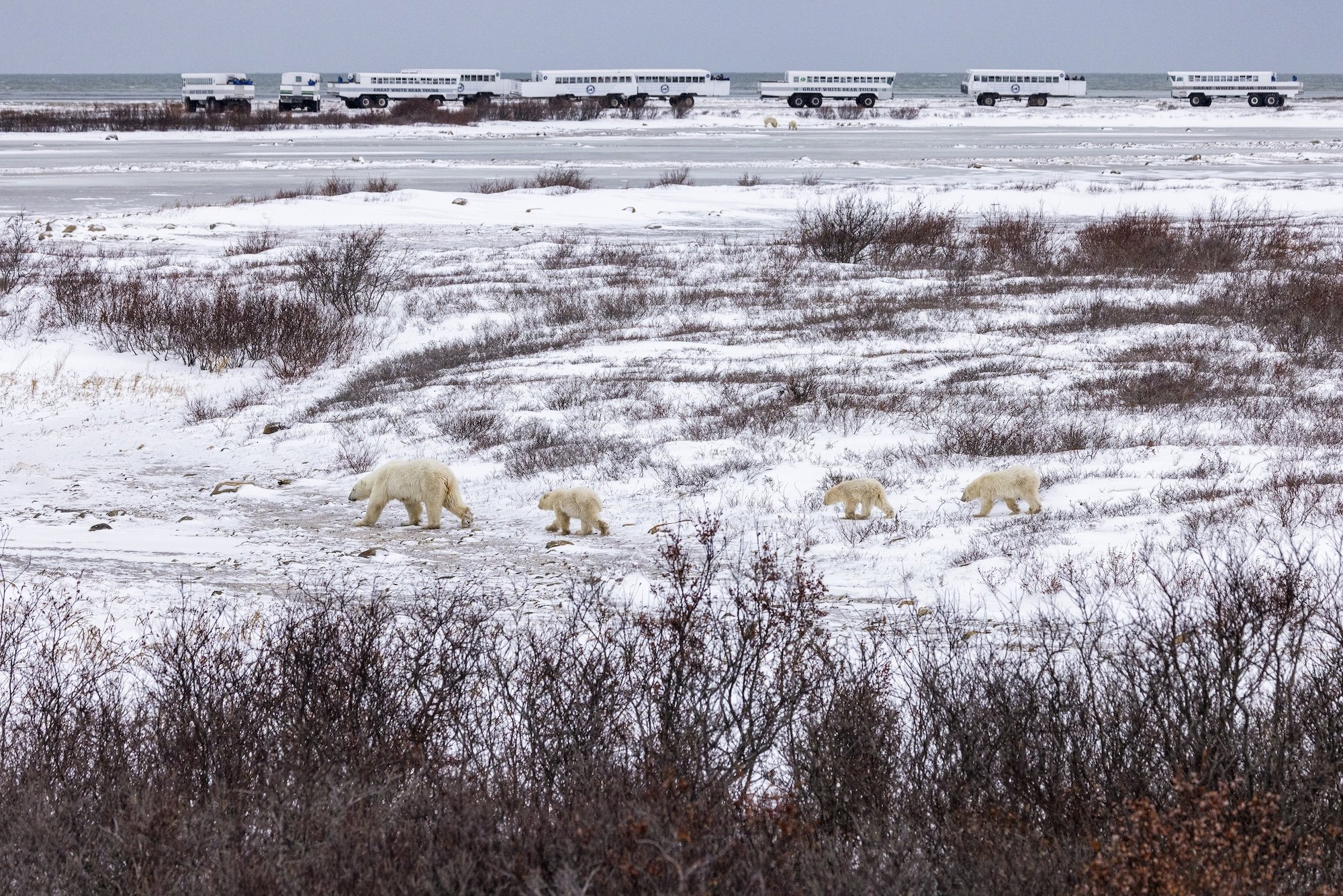 Manitoba_PaulZizka_005.jpg