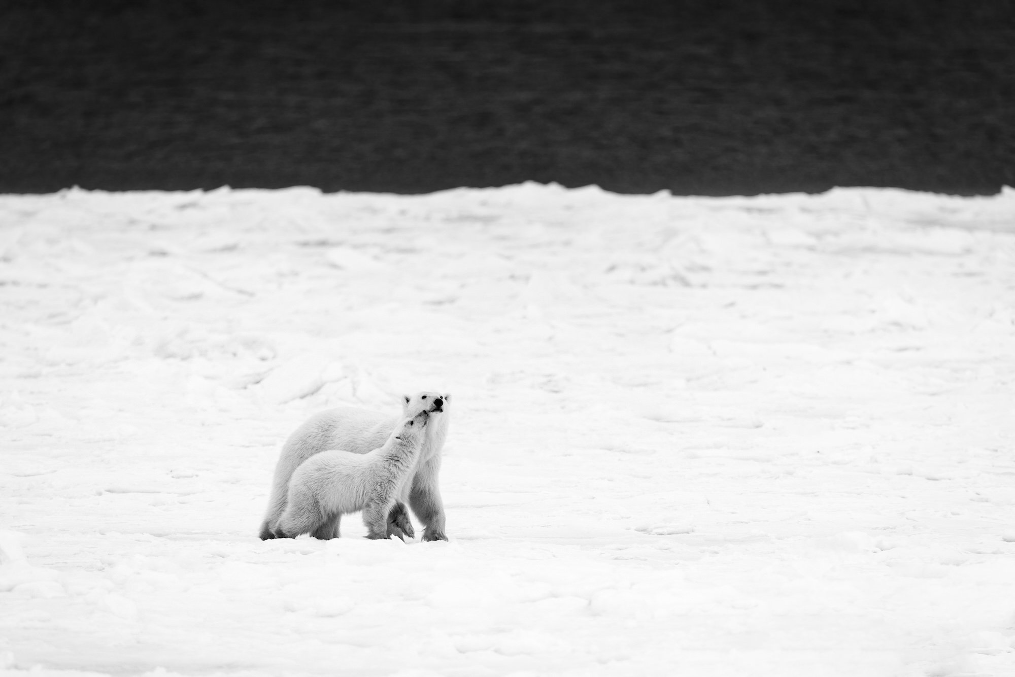 Manitoba_PaulZizka_032.jpg