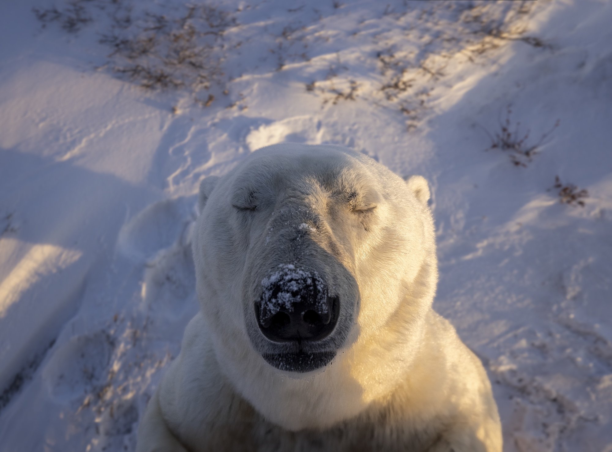 Manitoba_PaulZizka_021.jpg