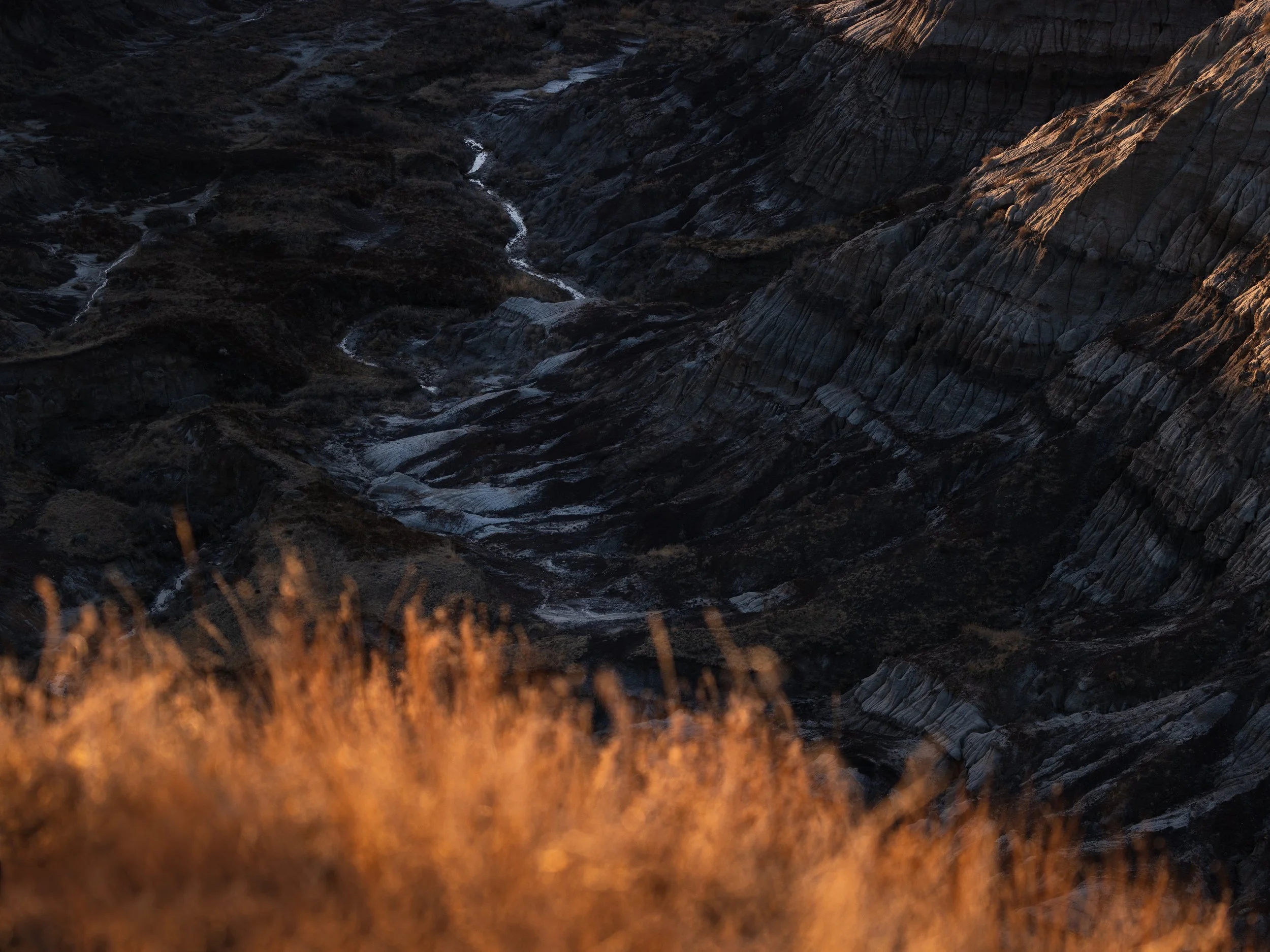 DZ7A4403-Edit-Edit.jpg