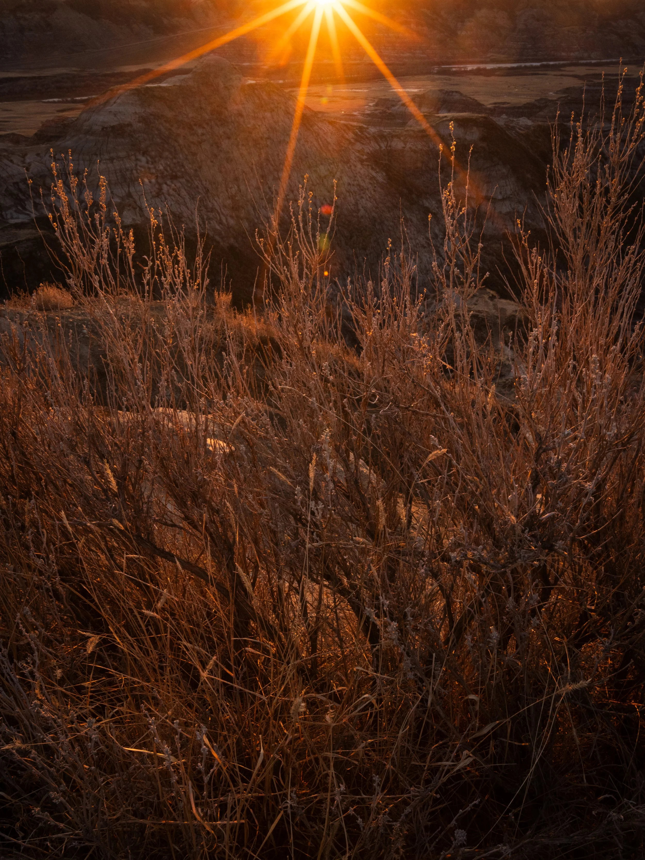 DZ7A4428-Edit.jpg