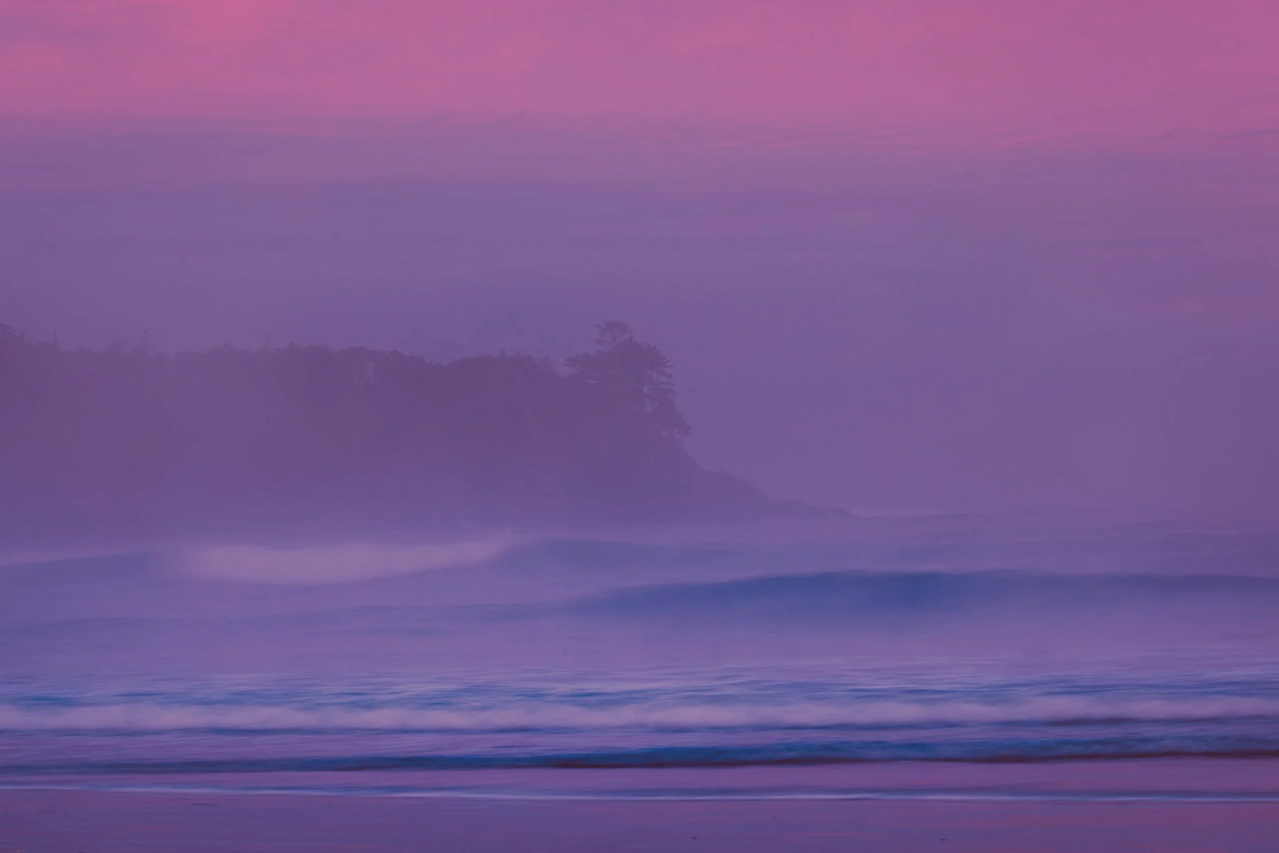 DZ7A0445-Edit-Edit.jpg