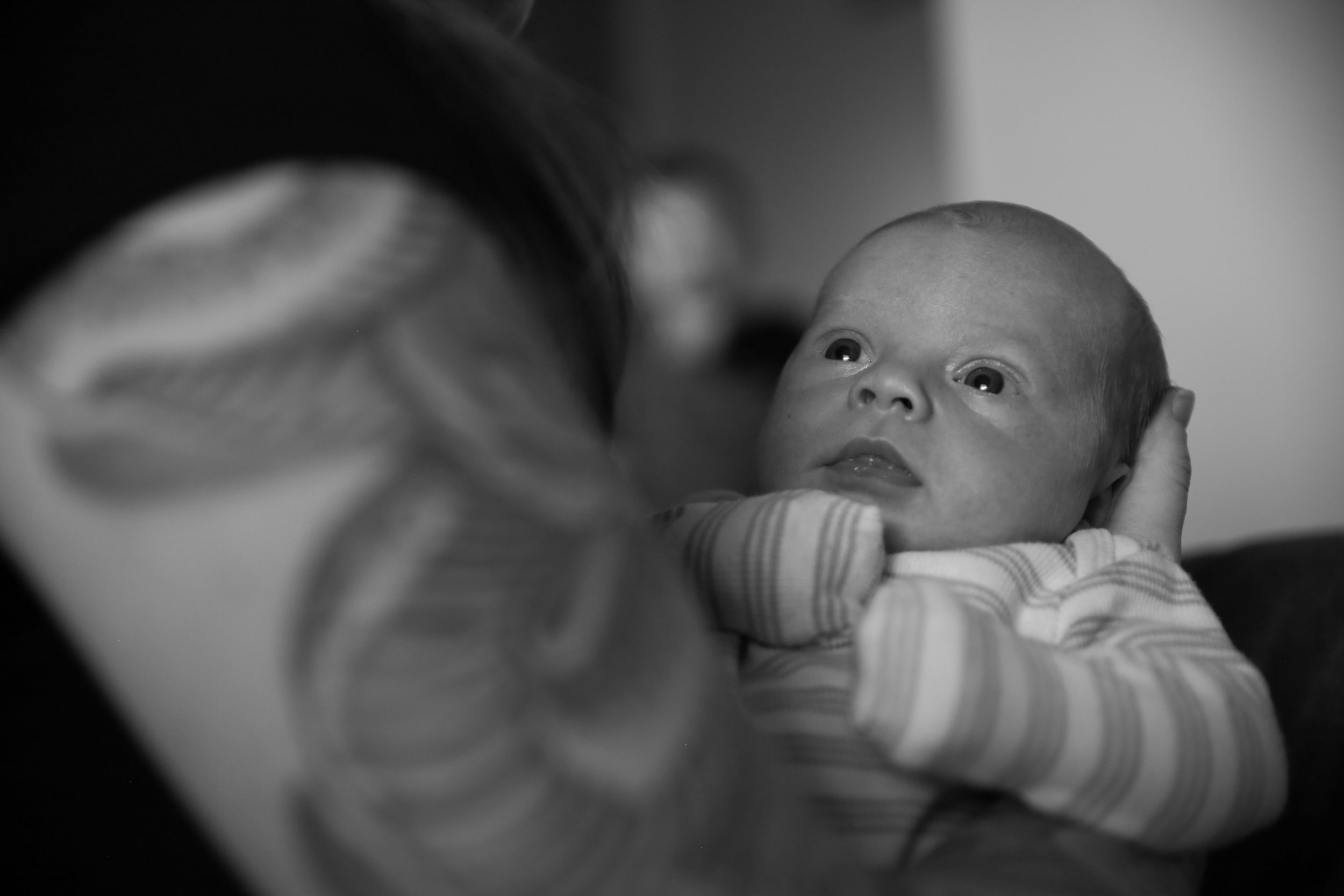 IMG_7449.jpeg