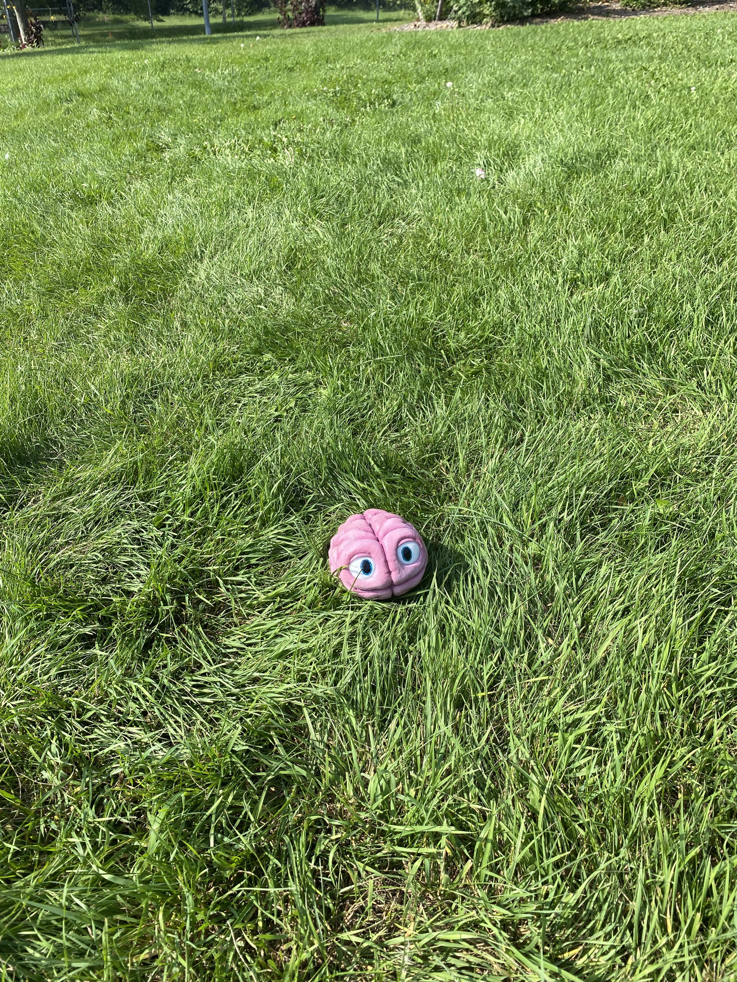 IMG_8921.jpeg