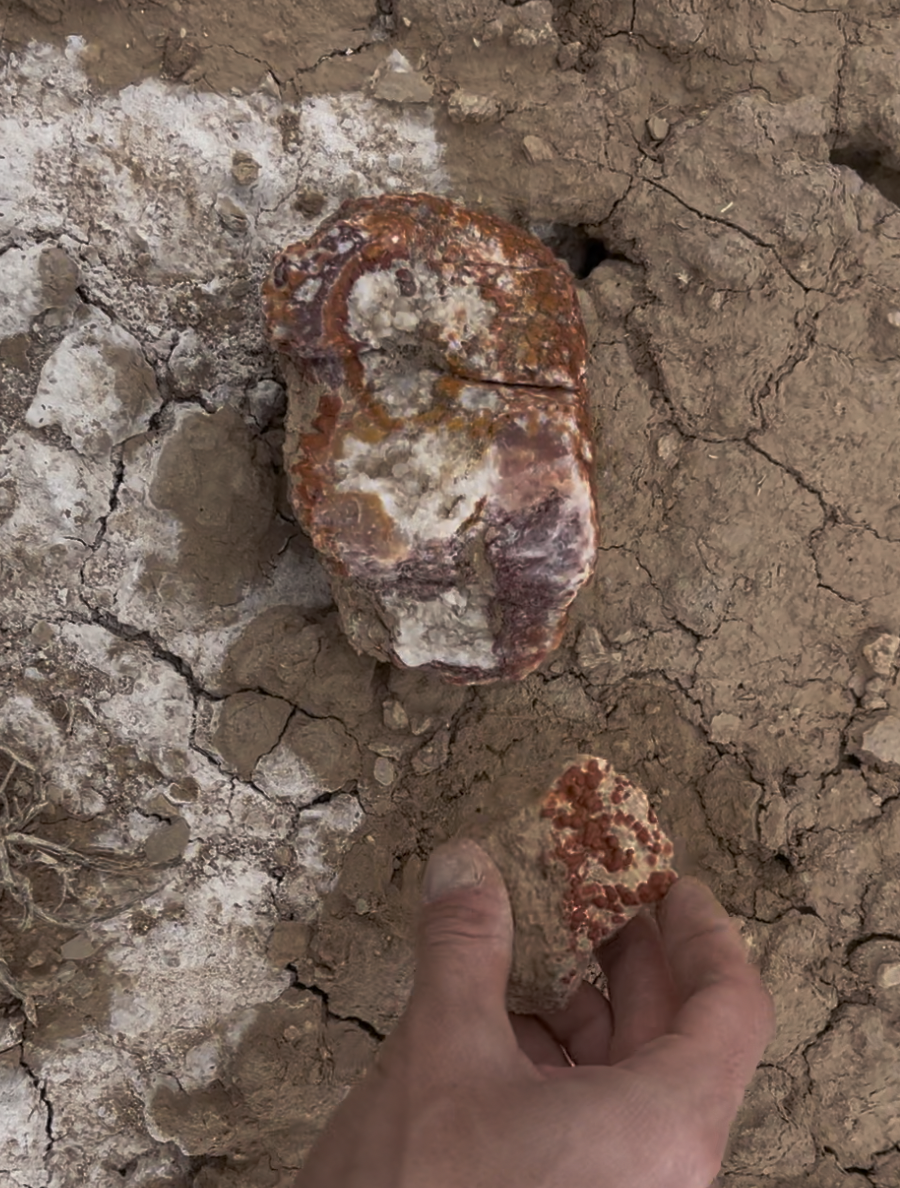 An example of a large nodule with some purple  alongside a small one with a botryoidal, outer shell.