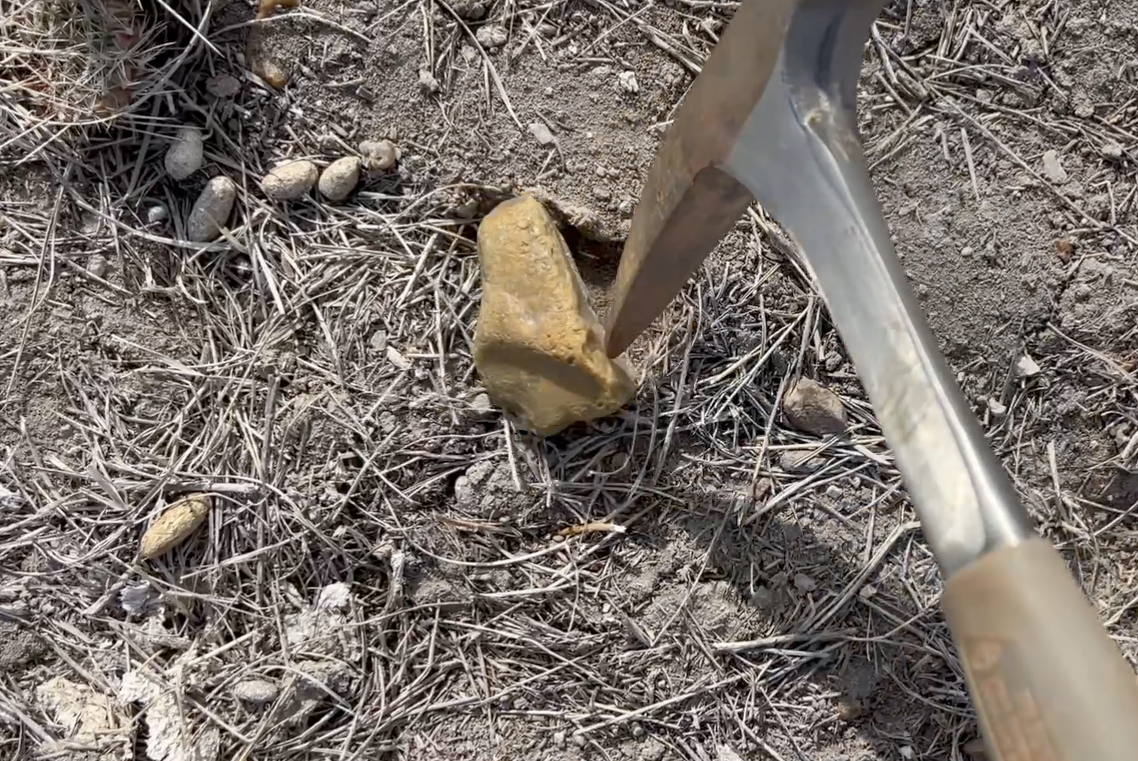 A small pick, spray bottle, and a backpack to walk around with are all you truly need.