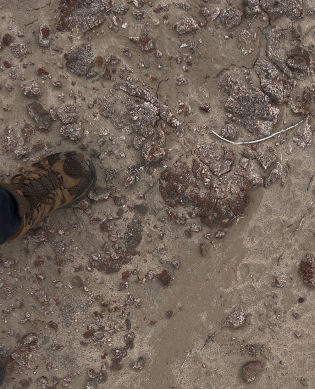 Once you find a spot to park, start walking and you'll begin seeing hotspots with all these orange pieces embedded into the ground.