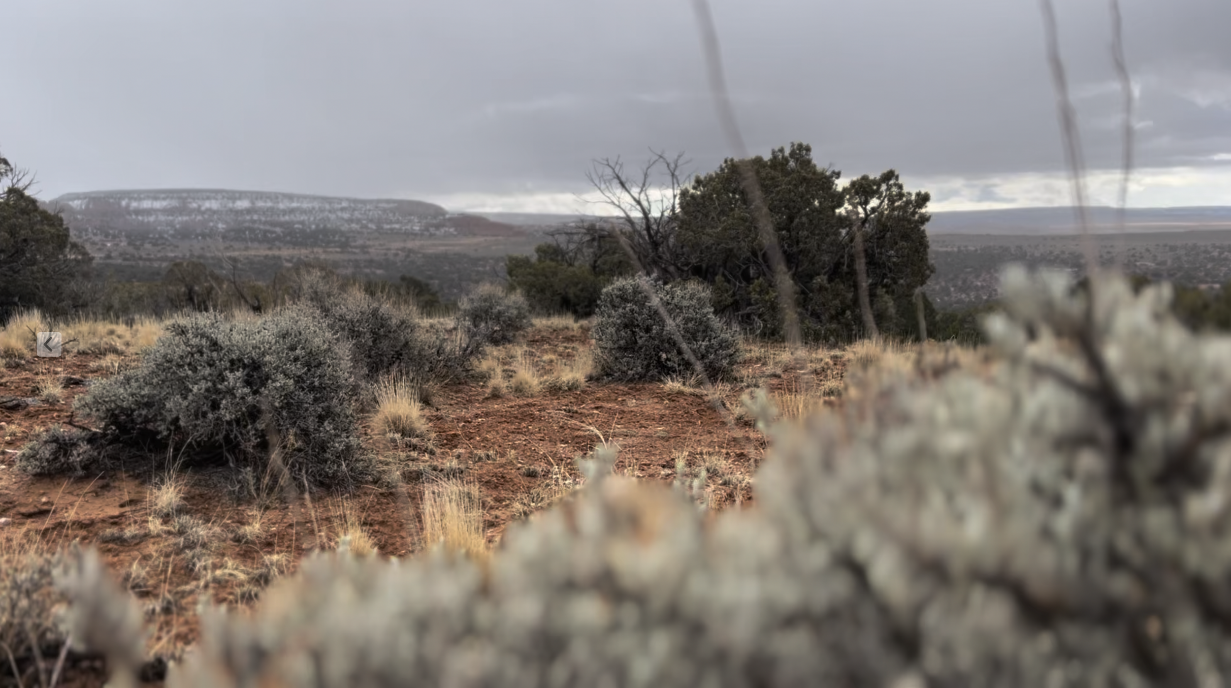 Here's a view from the area where you'll find all the chalcedony.