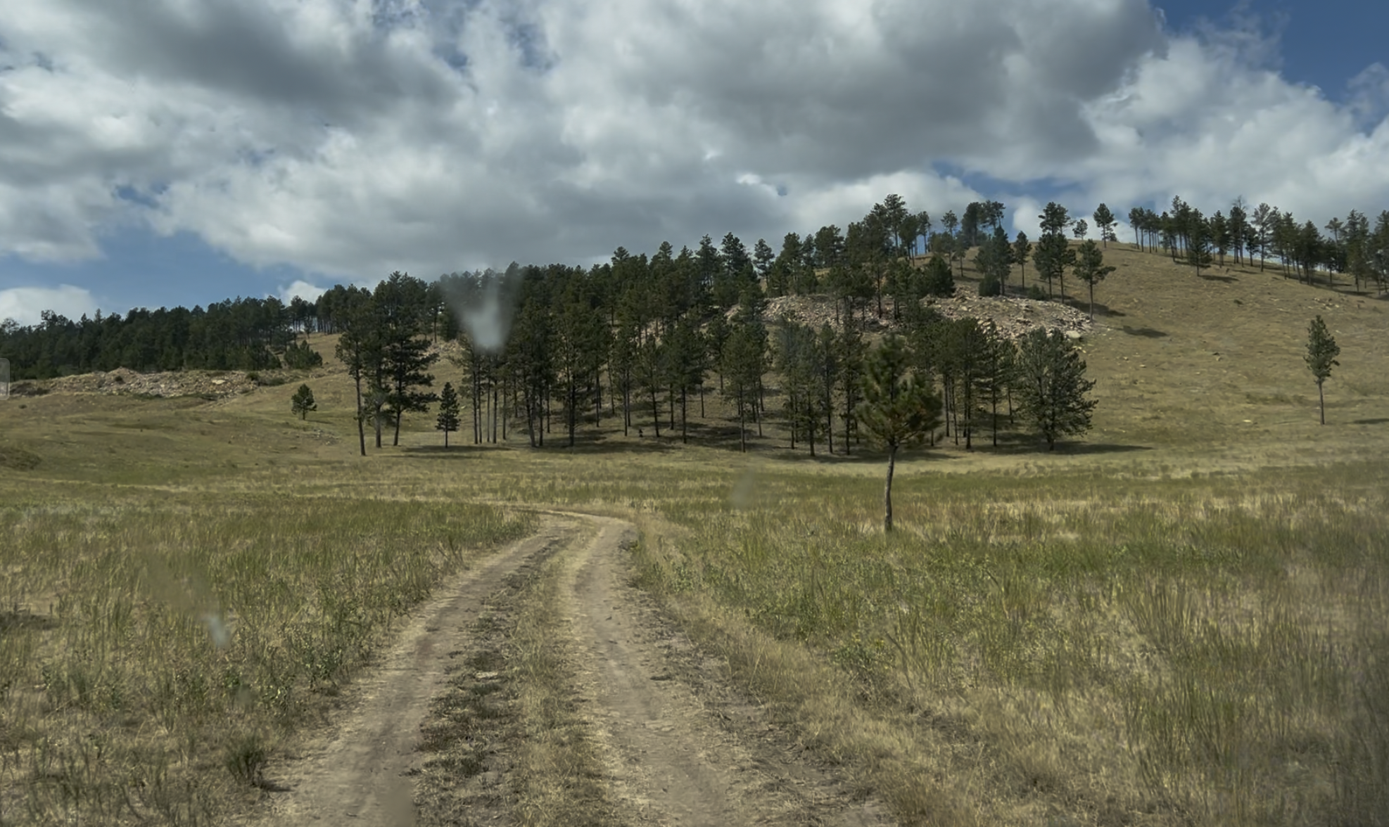 An example of the 2 track road I took my van down. 