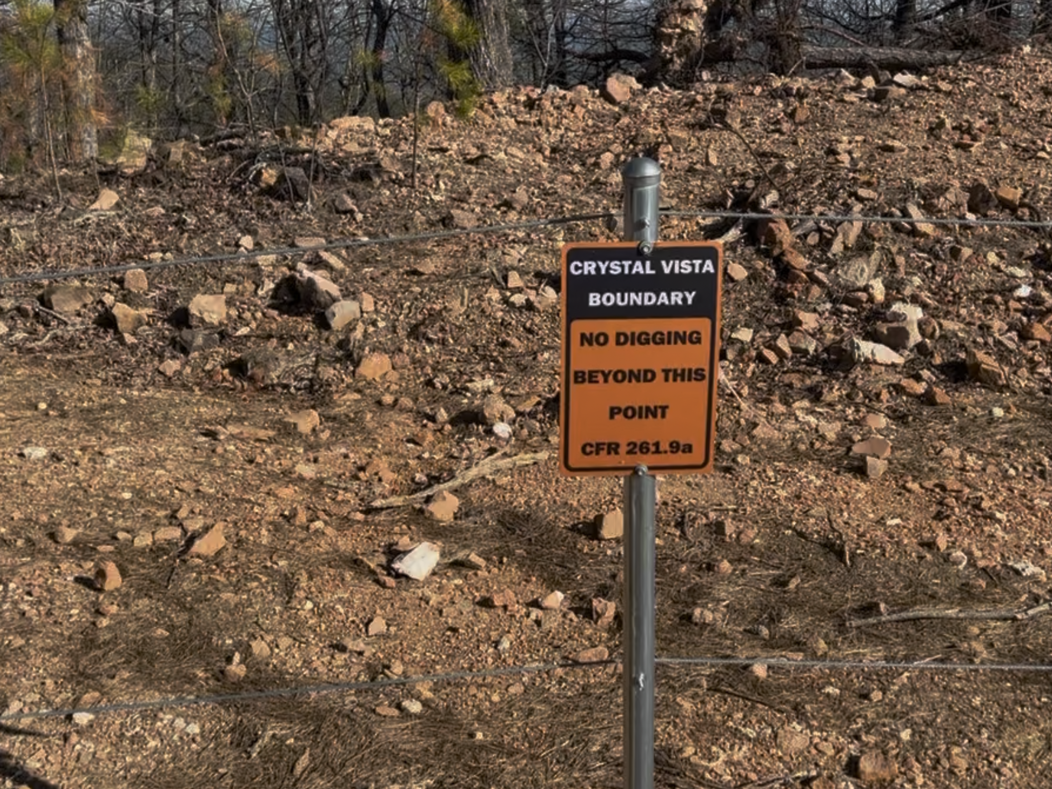 This is the newly added fenceline that creates a boundary along the dig area.  Admittedly, I worried at first but there is plenty of room to dig.