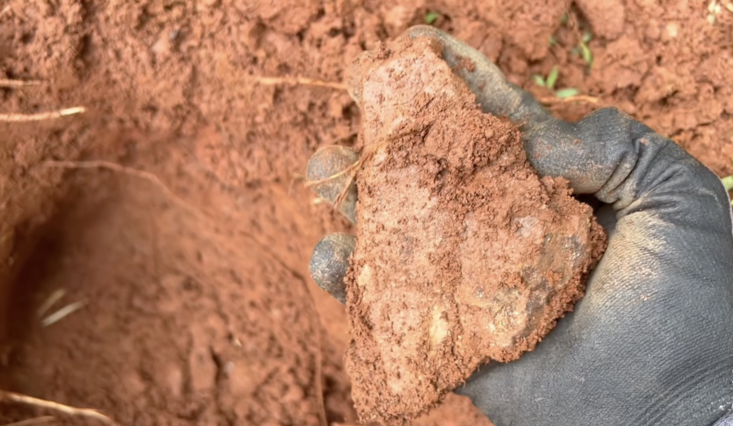 A piece of mud that looks and feels deceptively like stone.  They broke apart if squeezed hard.