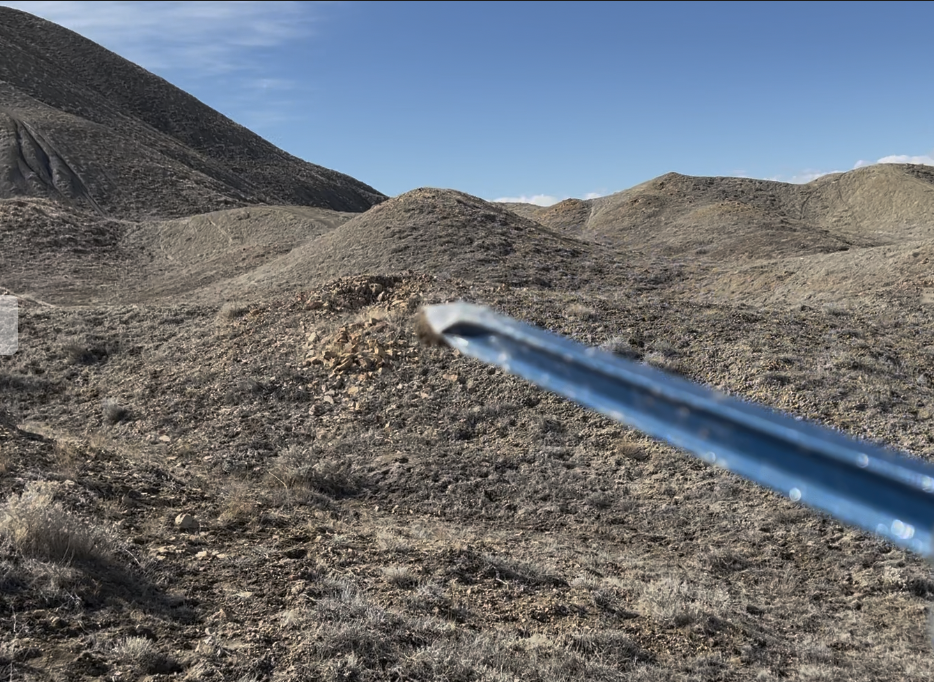 Here is an example of the holes you'll see dug all throughout this area.  There are hundreds of them.