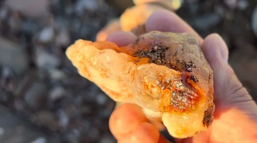 The sunset really helped spot the chalcedony, especially the red ones.