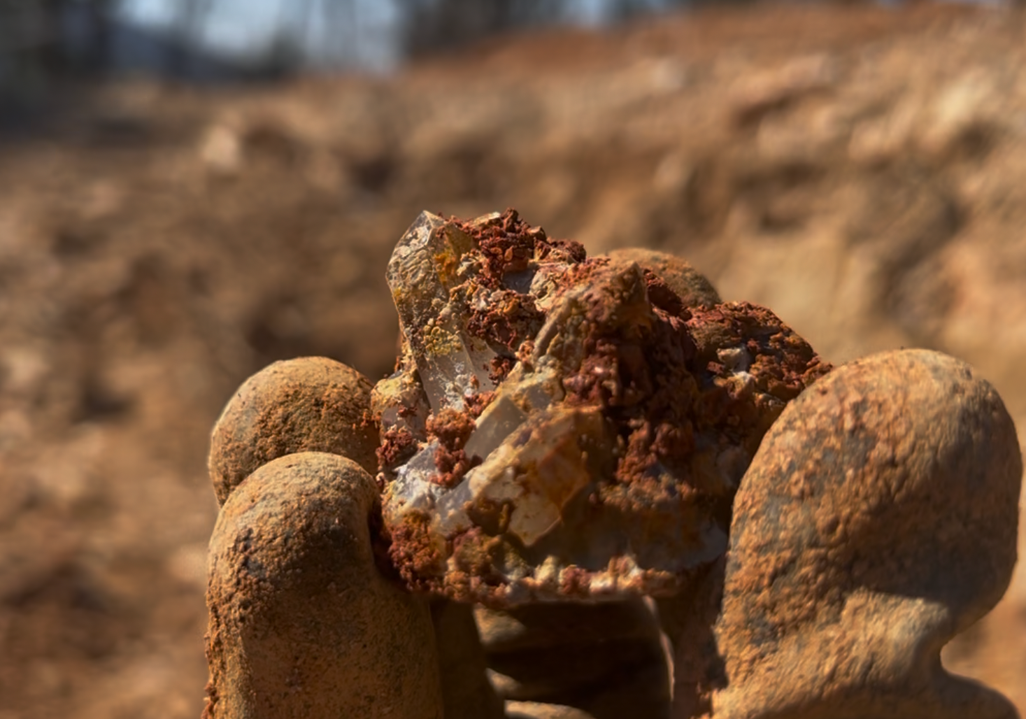 The largest cluster I was able to pull out of there.