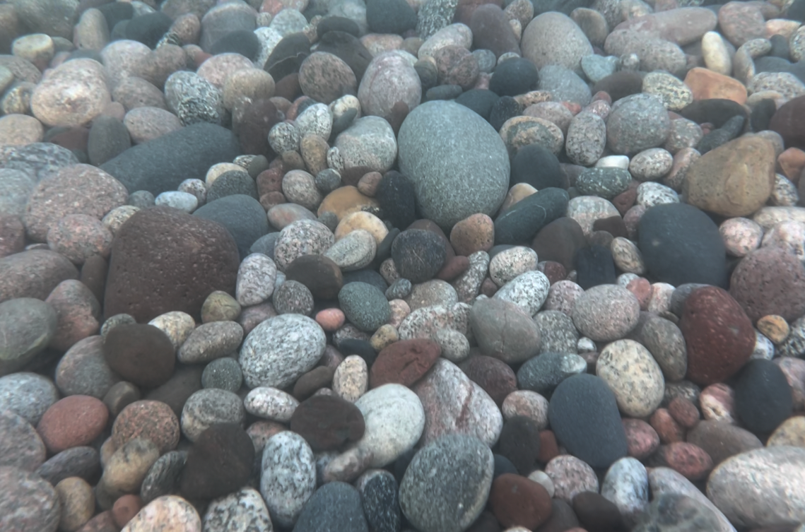 Underwater in the Lake, right by the river mouth.
