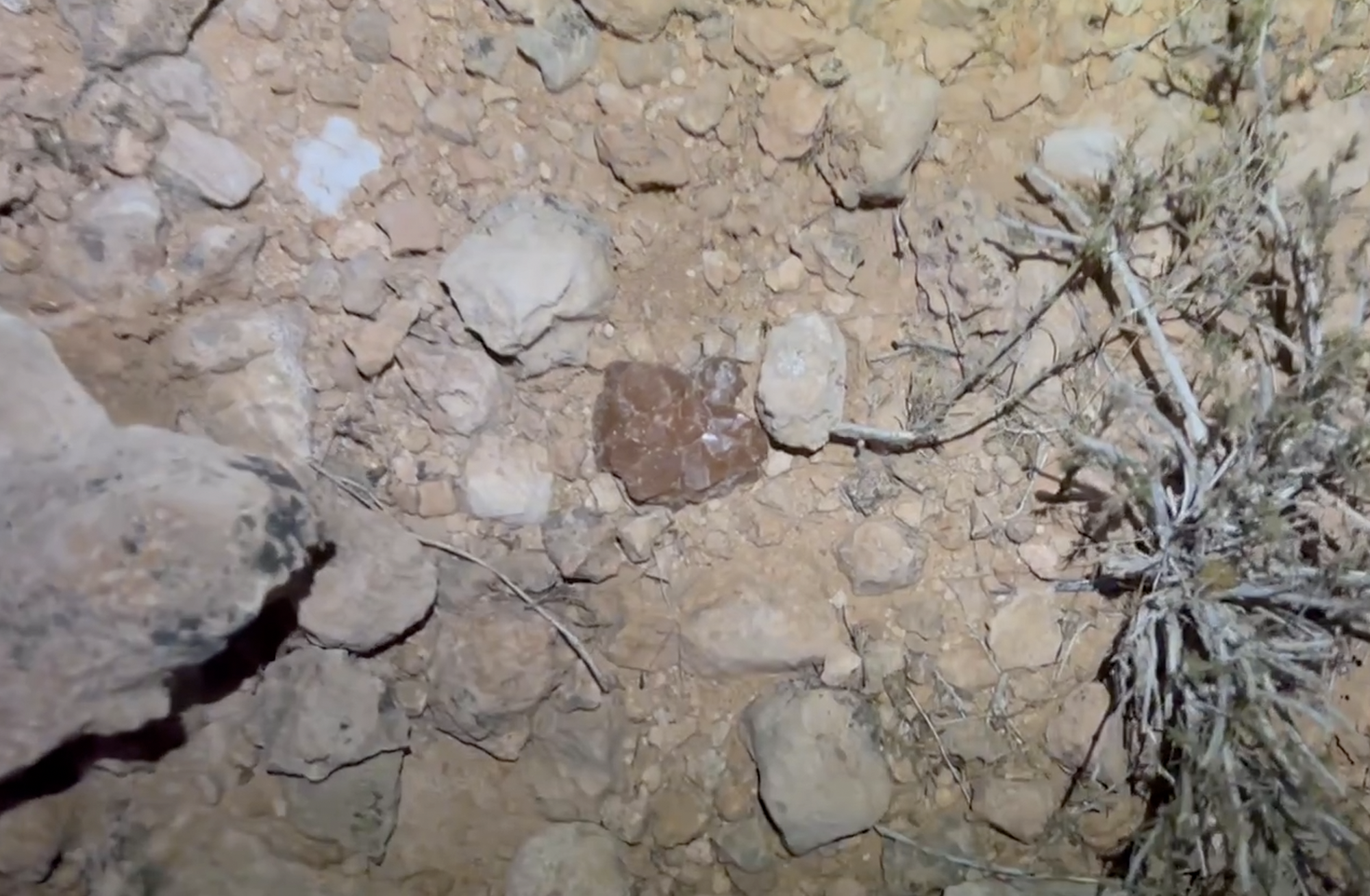 One of my favorite surface finds I've had.  These clusters beat my expectations.