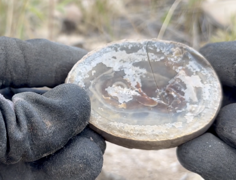 This one was a dud - they don't all contain banding.