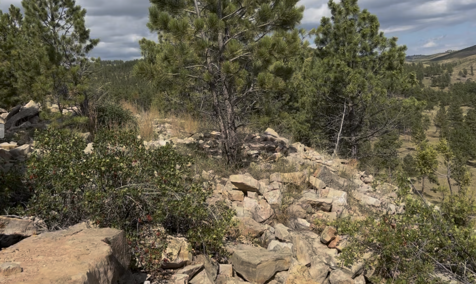This is what the workings look like.  It's a bunch of busted up limestone blocks.