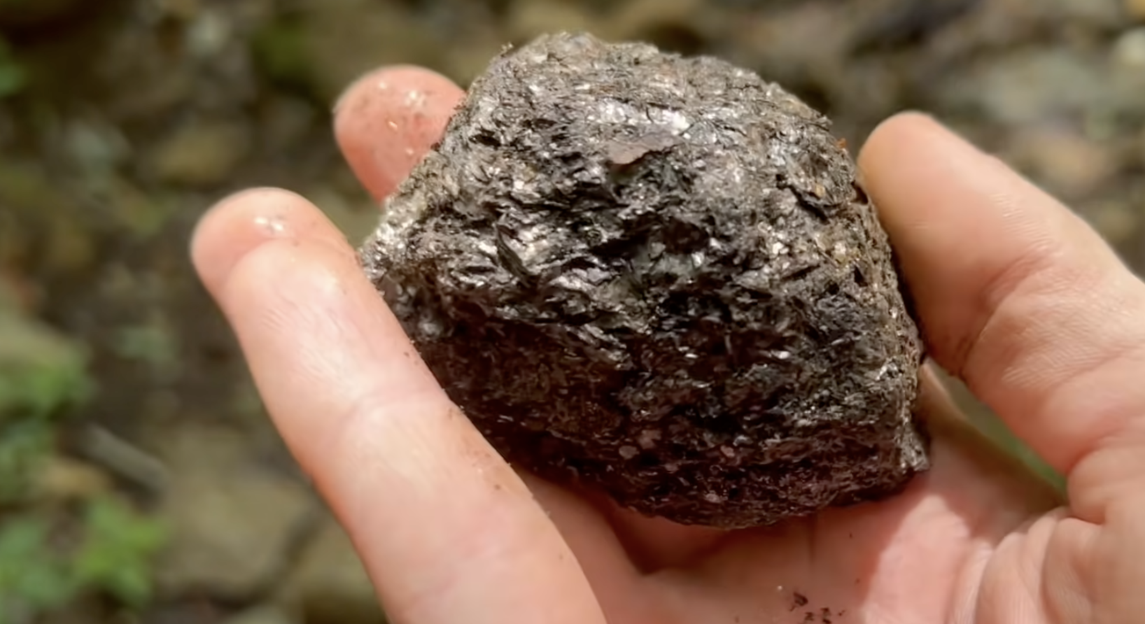 We had no idea what these would be like until getting them home and cleaned up.