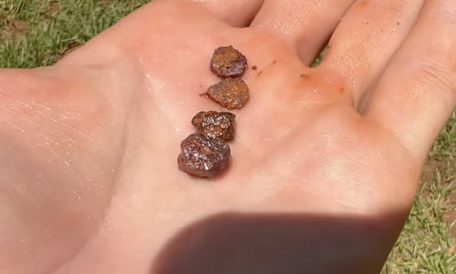 I eventually found many small flat ones all in some mud about 3 feet down.