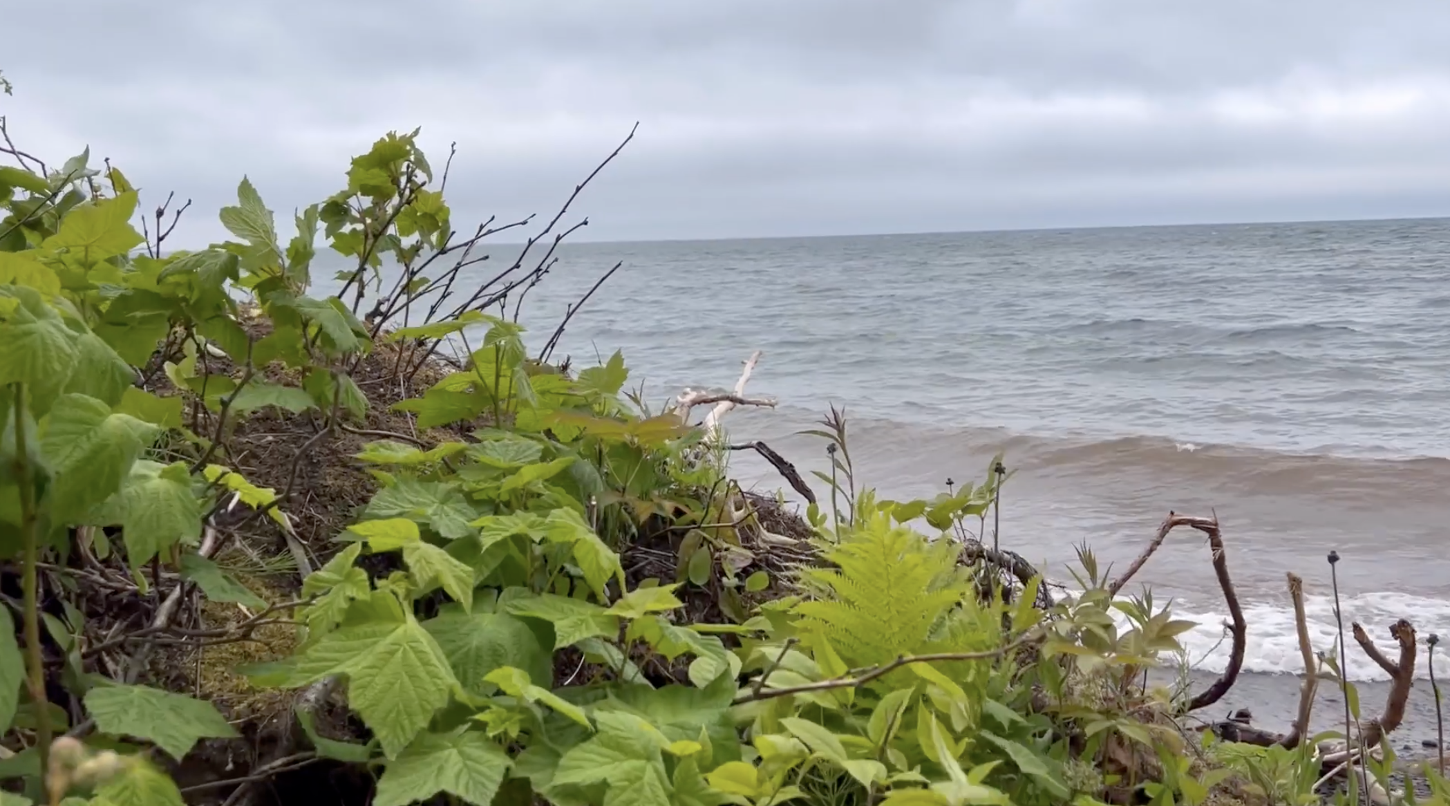 It feels a little like the Pacific Northwest up here, especially if it's cloudy.