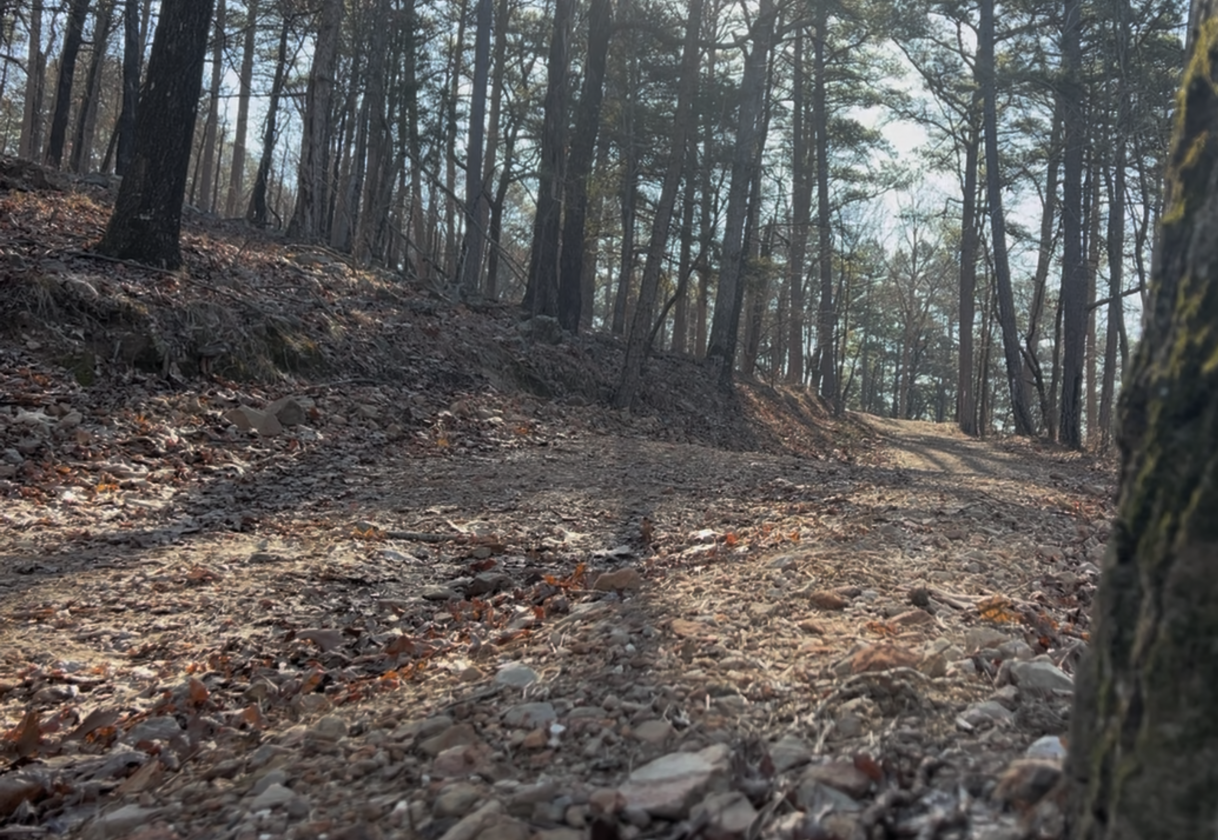 This is the relatively steep hike up to the dig site.