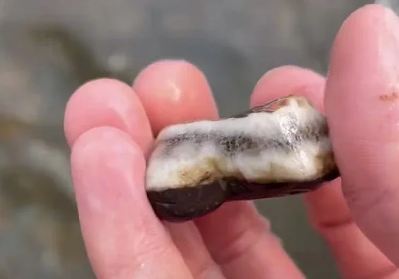 I don't think these are Lake Superior Agates, though.