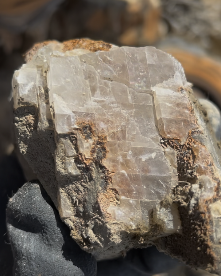 If you're curious if you've found barite or calcite, calcite has a perfect rhombohedral cleavage.  So it'll break into clean, non-90 degree blocks like this.  It also will be much less dense than barite.