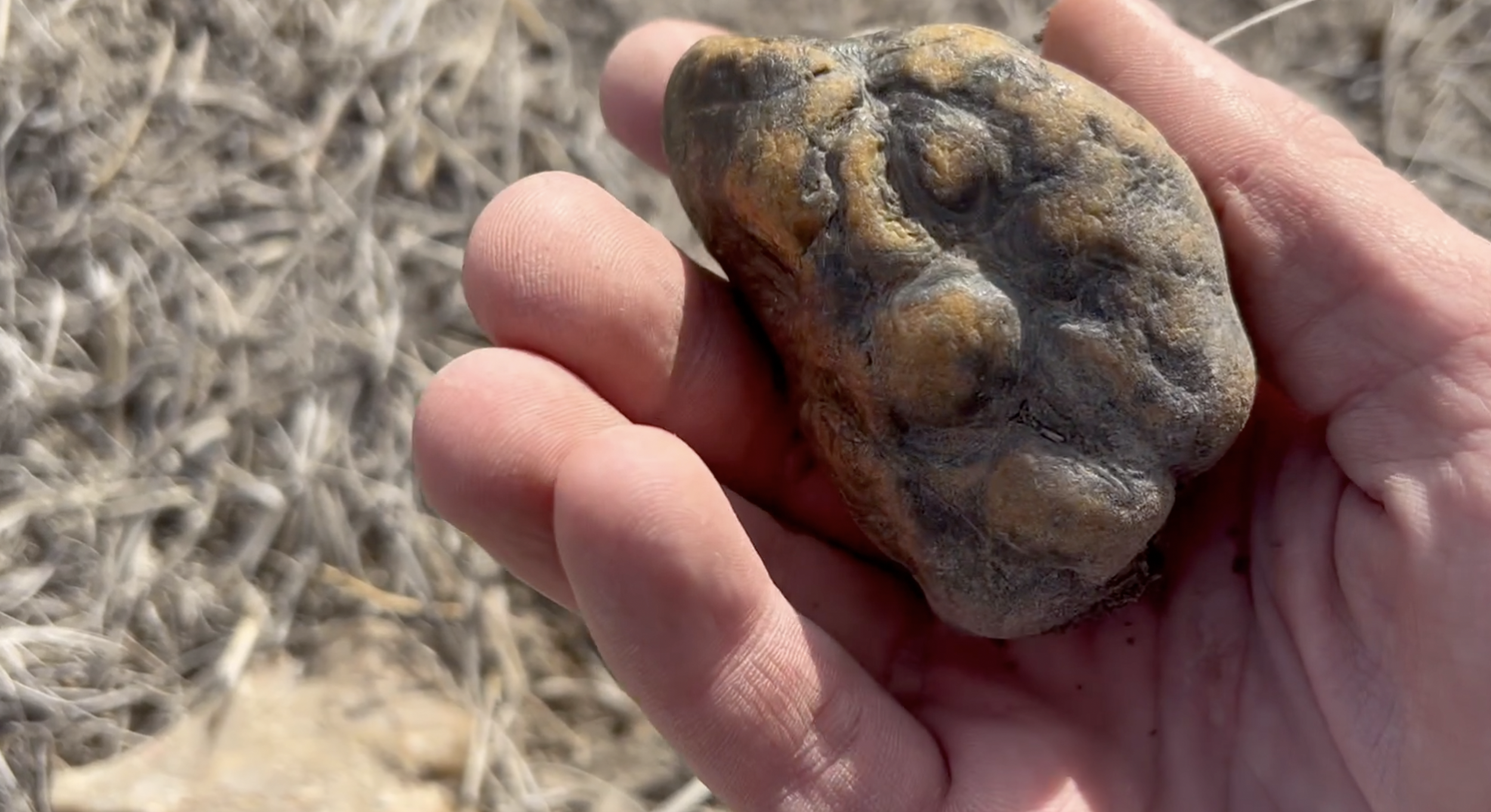 What looked like a nodule of some sort.