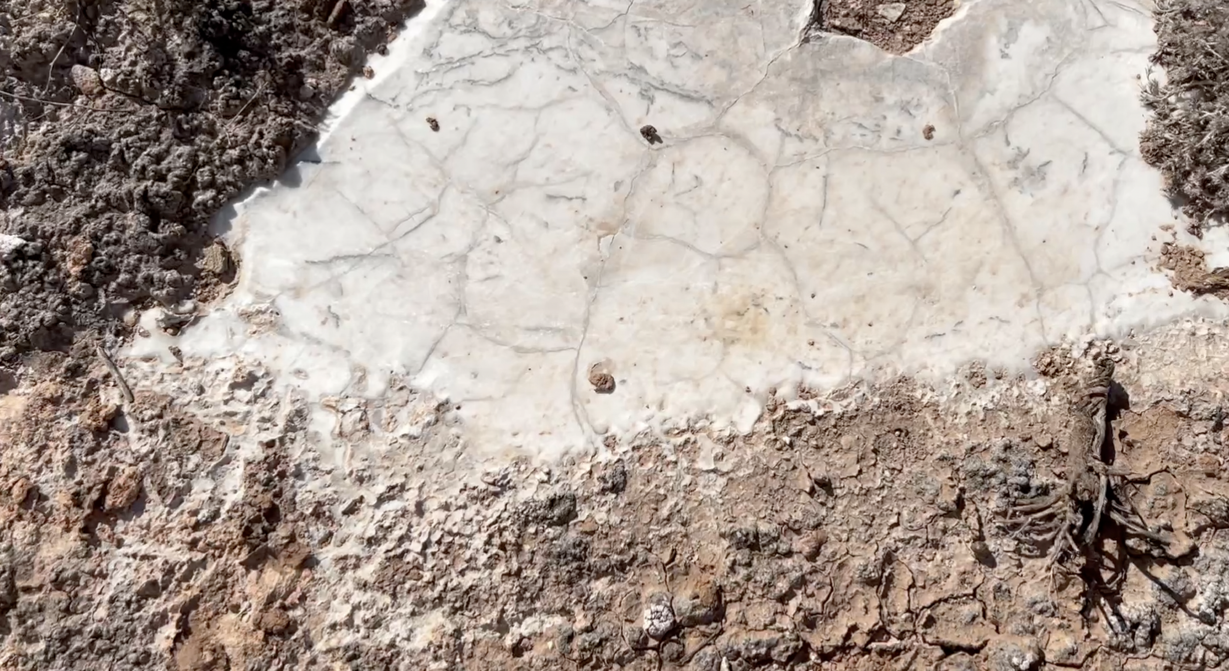 This is the gypsum.  The Pecos Diamonds are found in areas where this gypsum occurs (Seven Rivers Formation)