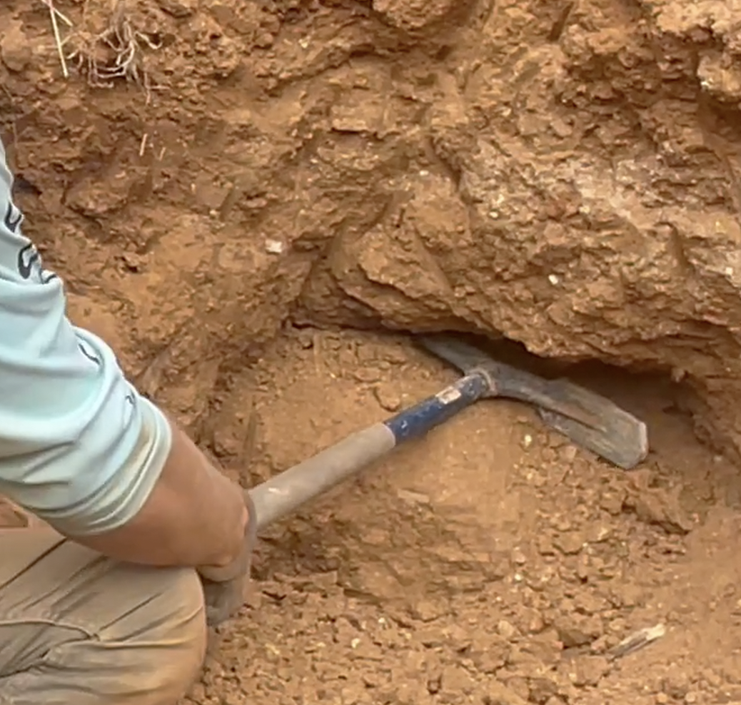 An example of how I dug most of the day.