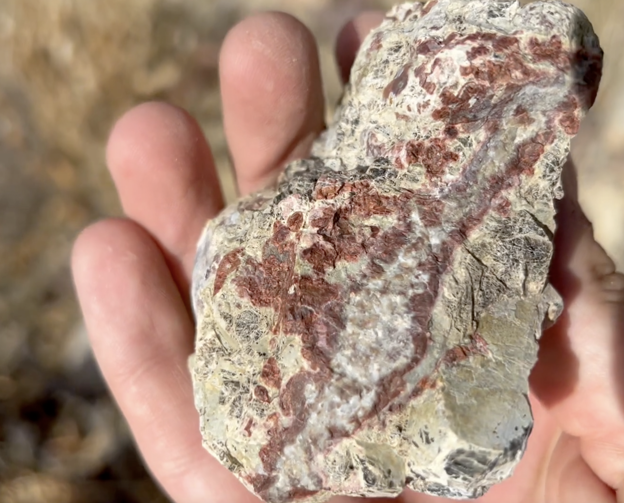 An agate of some sort.