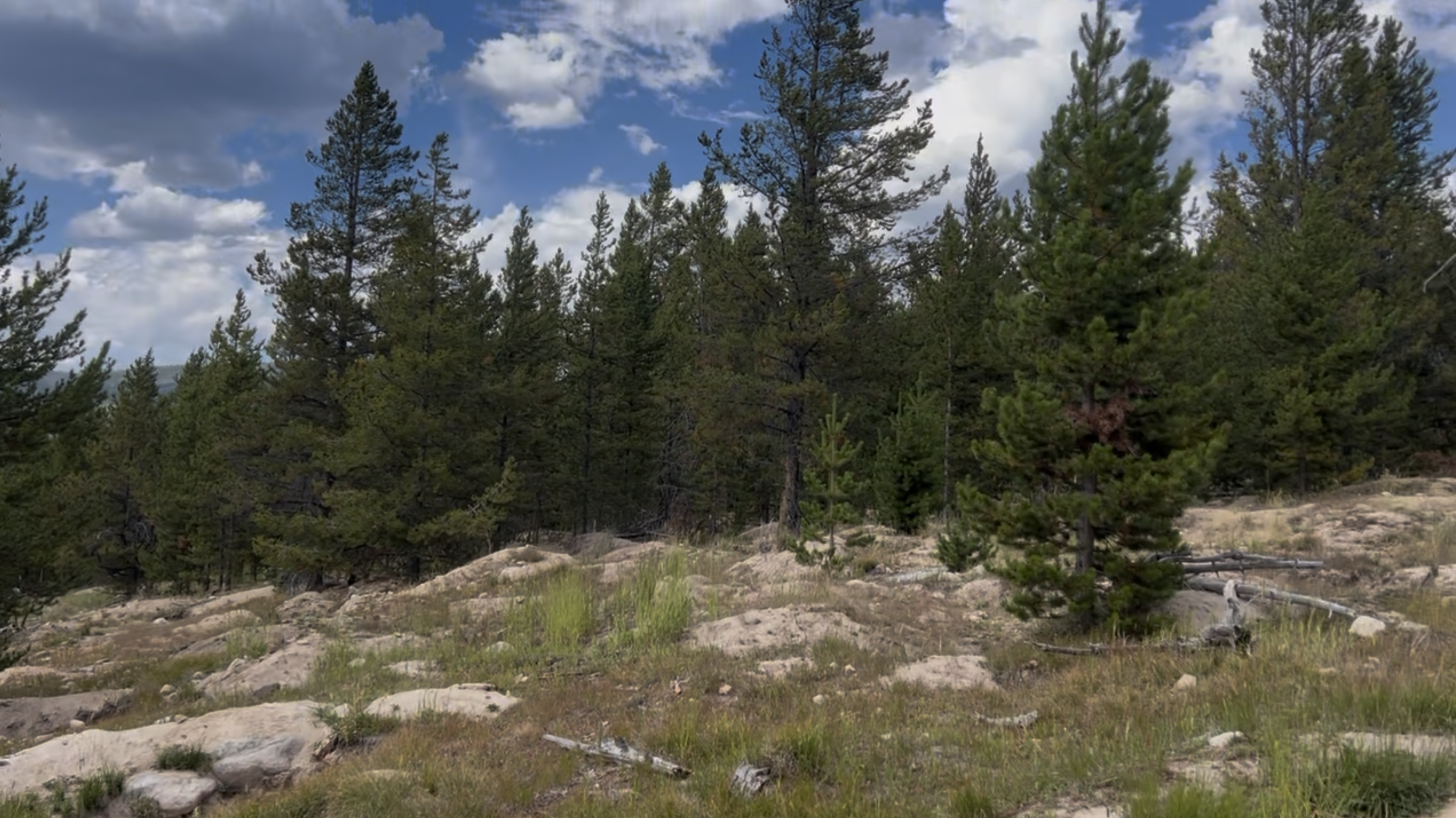 Watch for animals as you drive.  We saw many deer, even after the sun had been up a while.