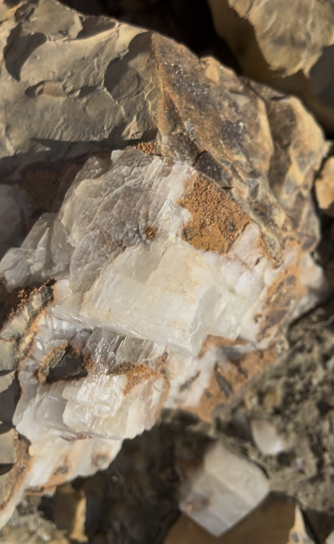 Another example of pieces found laying on the surface.