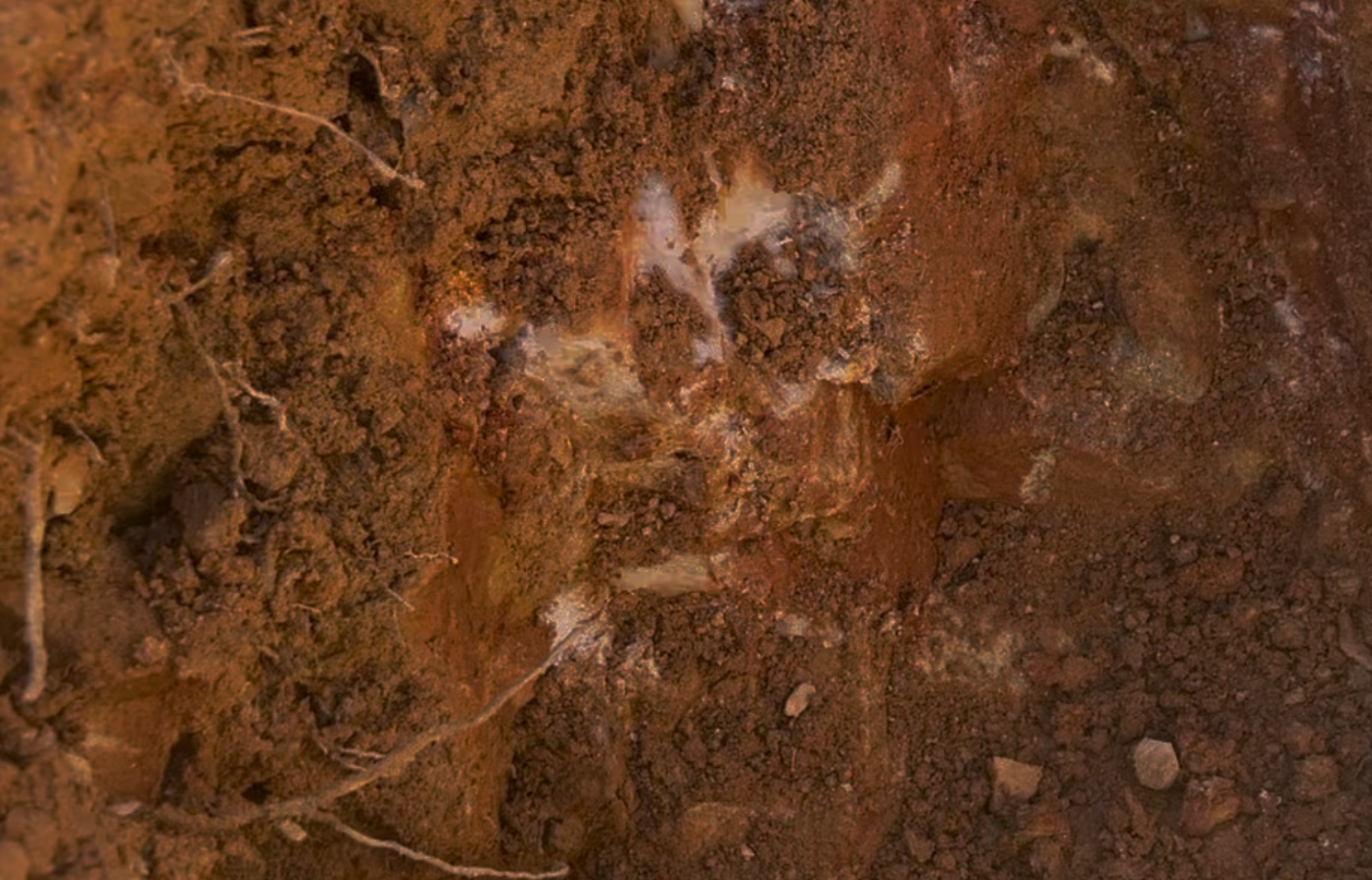 It looks like dirt, but this is the bedrock you'll be digging in.