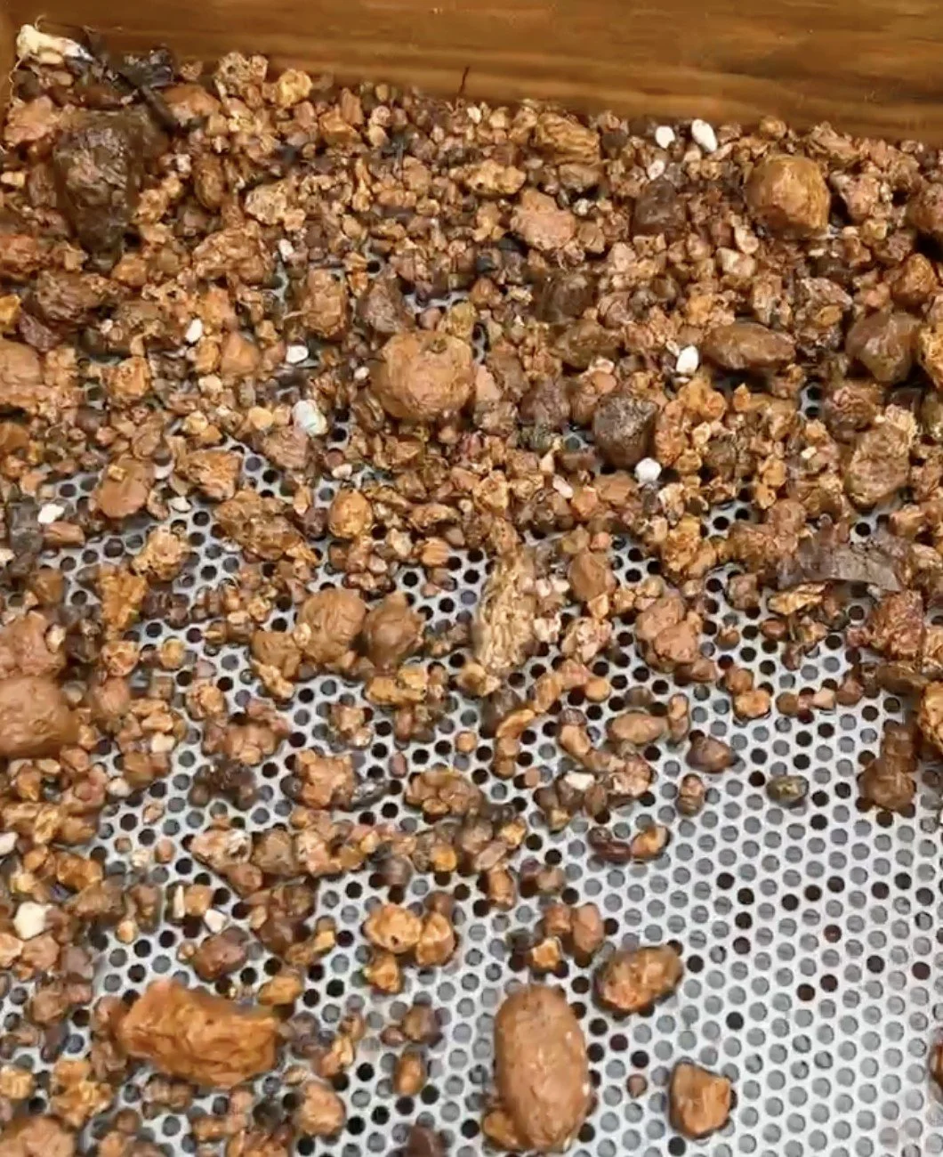 Here are the concentrates I was left with.  The biggest takeaway I had was to not toss anything aside until checking it with an ultraviolet light first.  Large rubies and sapphires will be easy to see, but many smaller ones may still have mud on them