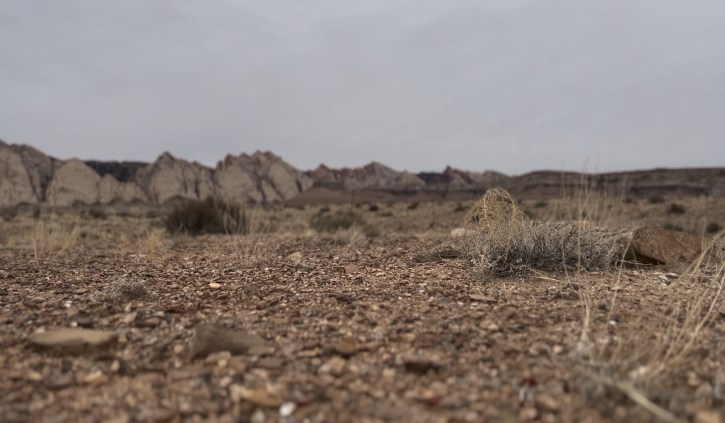 The appearance is similar to what you see in the Badlands of South Dakota.  I'm not a geologist, but I would assume their history is vastly different.