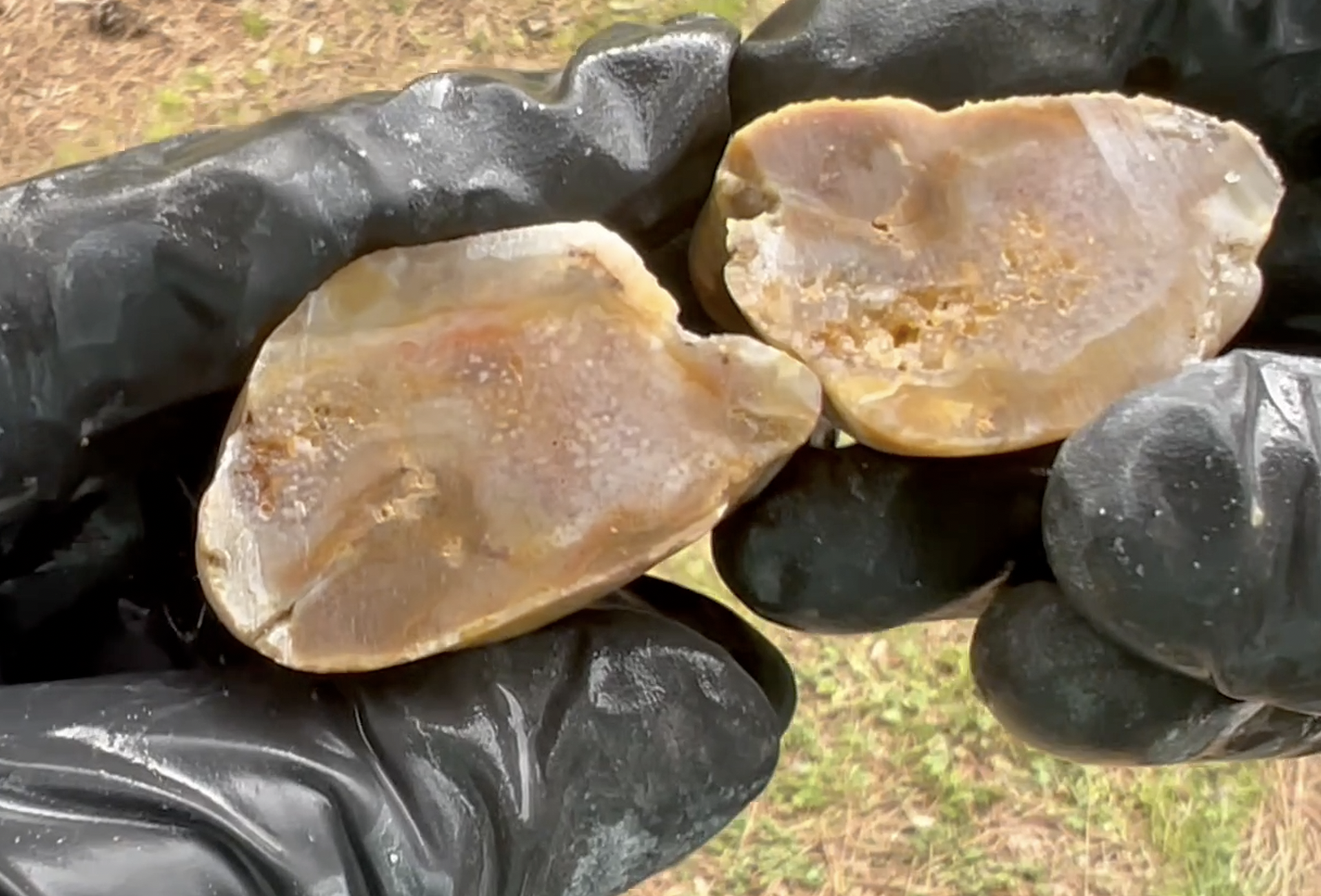 There's some color and possibly crystalization in the middle of these. 