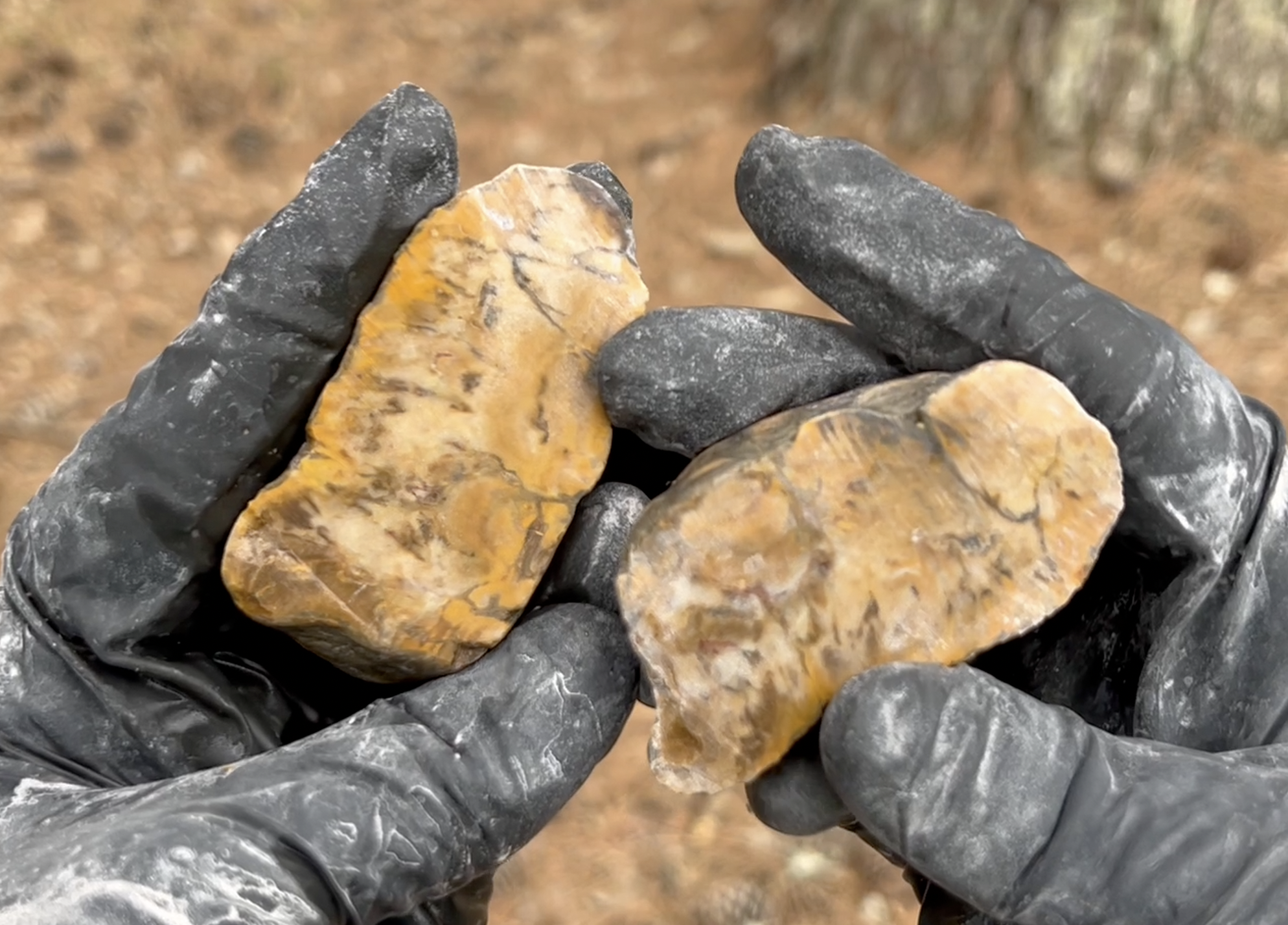 Inside it looked almost like plume agate, which was unexpected.  The saw blade was already needing to be replaced, and these used up the rest of the blade.