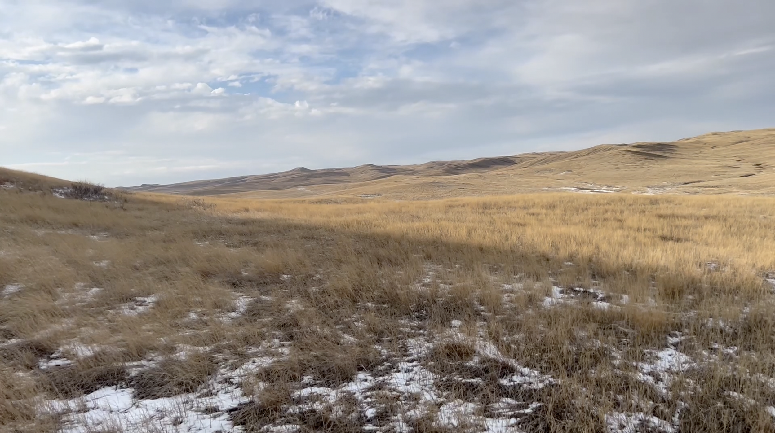 The landscape was essentially the fringes of the Badlands region.